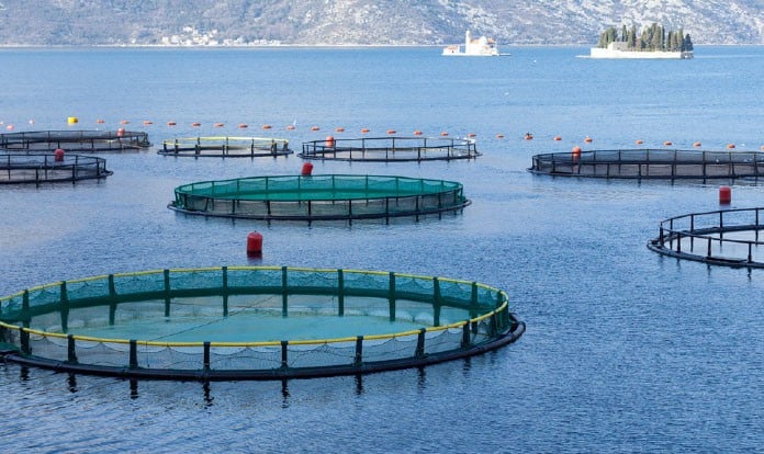 A natural approach for aquaculture health from Bionetix