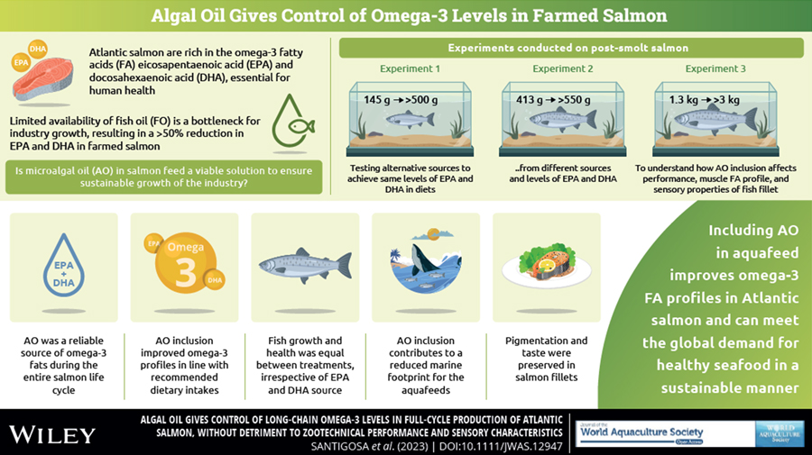 Alternative aquafeed sources can meet omega-3 demand - Feed 