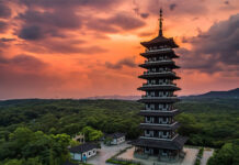 Asia’s Animal Feed Industry Enters New Era