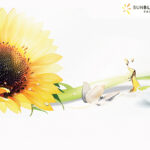 Avril acquires Sunbloom Proteins Avril to acquires Sunbloom Proteins