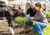 Cargill ranks among top companies on farm animal welfare