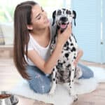 Consumers wants high-quality, natural and healthy ingredients in pet food