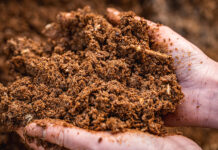 Duynie strengthens UK position with new distribution agreement