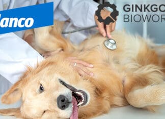 Elanco and Ginkgo Bioworks launch BiomEdit