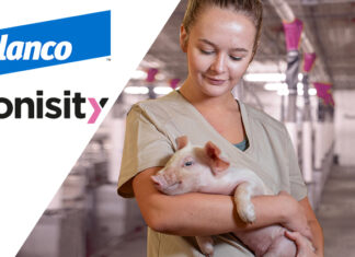 Elanco and Tonisity form strategic partnership on swine products