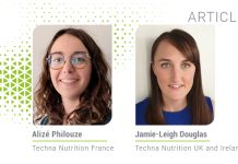 Feed Efficiency: The challenge of a dairy cow