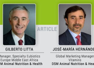 Maximize animal health and performance with optimum vitamin levels