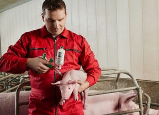 TwistPak®: Mixing platform for swine vaccines brings convenience and flexibility