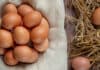 More eggs per hen with natural oregano essential oil