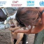 New international expert panel for zoonotic diseases
