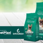 Portuguese companies introduce new petfood with insect protein