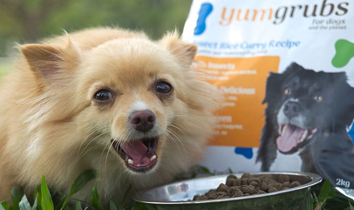 Protenga raises $2m to scale Smart Insect Farms and launch pet food brand