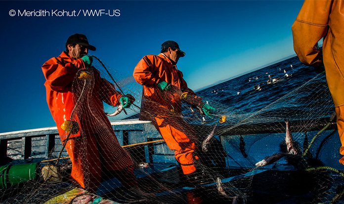 Skretting collaborates with WWF and Finance Earth to blue finance