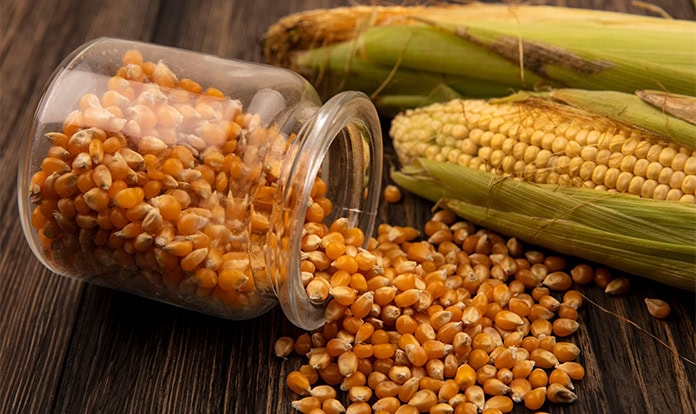 Smart storage technologies are reshaping feed safety