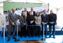 World's largest insect farm to be built in Spain