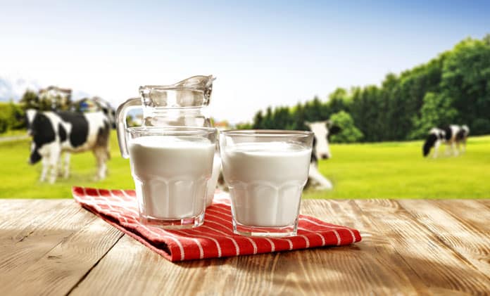 Global Dairy Industry and Trends
