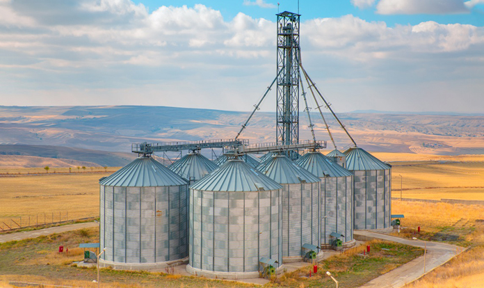 Feed safety culture and quality assurance strategies preserve and protect grain